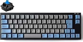 LEOPOLD FC660MBT メカニカルキーボード FC660MBT GRAYBLUE 日本語JIS配列（かなあり） – LEOPOLDキーボード